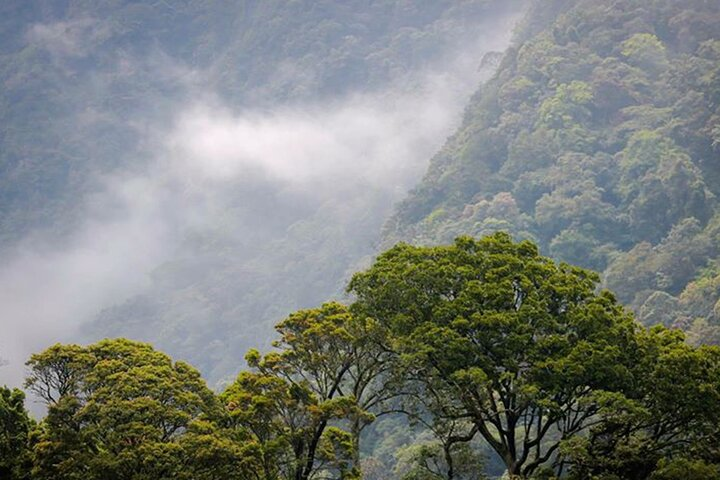 Kodiyaragala mandaram Nuwara Camping Night Tour From Kandy - Photo 1 of 5